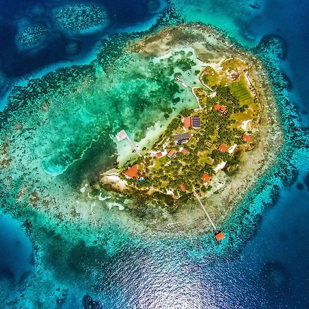 Hatchet Caye Island Resort (Adults Only) Placencia 外观 照片