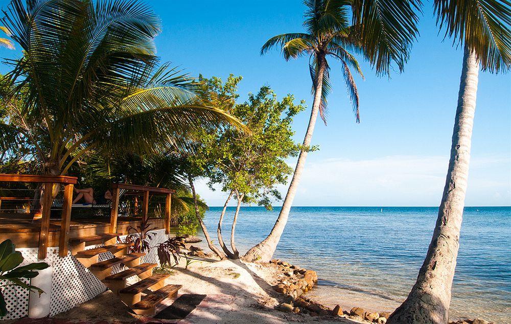 Hatchet Caye Island Resort (Adults Only) Placencia 外观 照片
