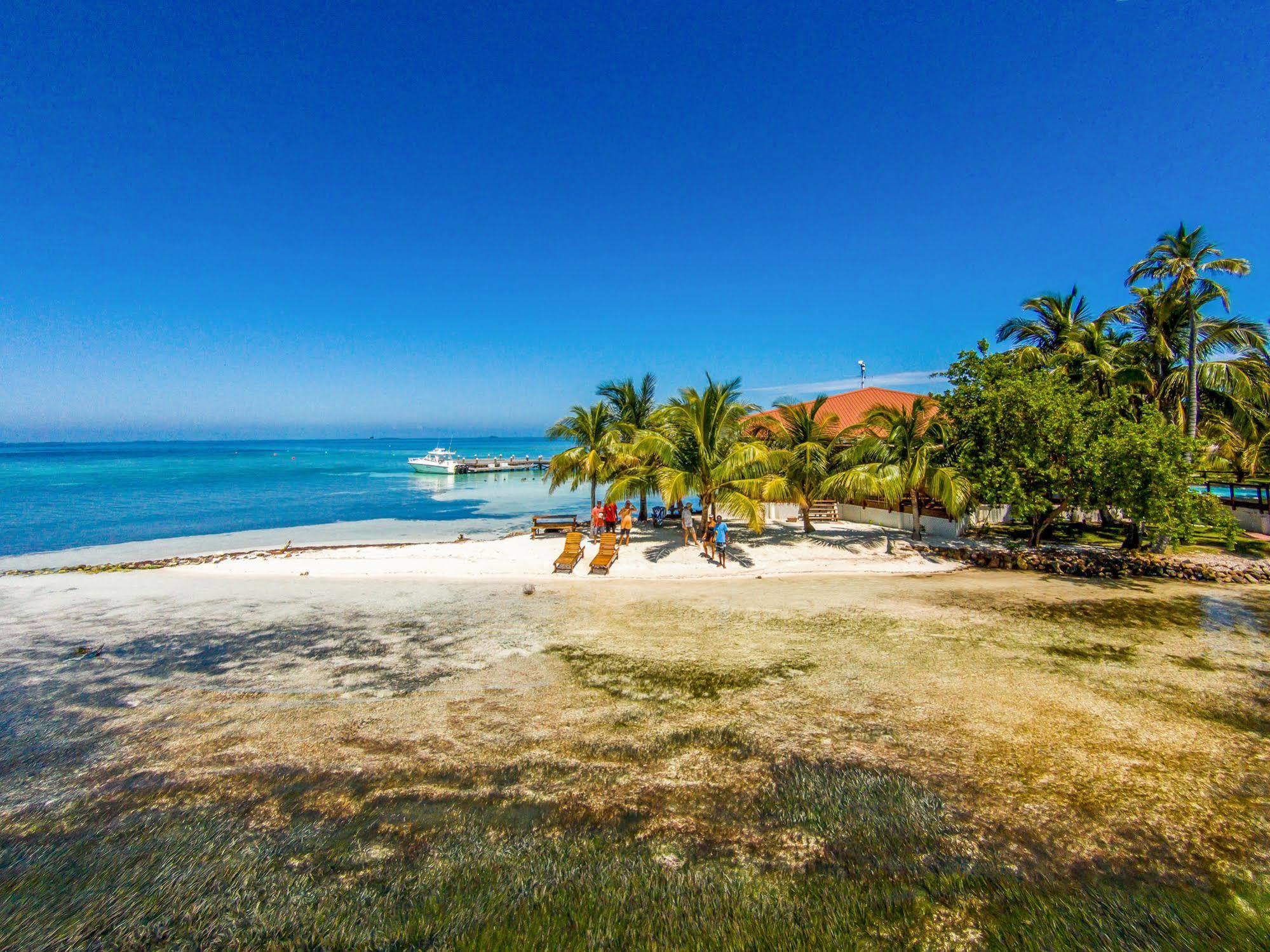 Hatchet Caye Island Resort (Adults Only) Placencia 外观 照片