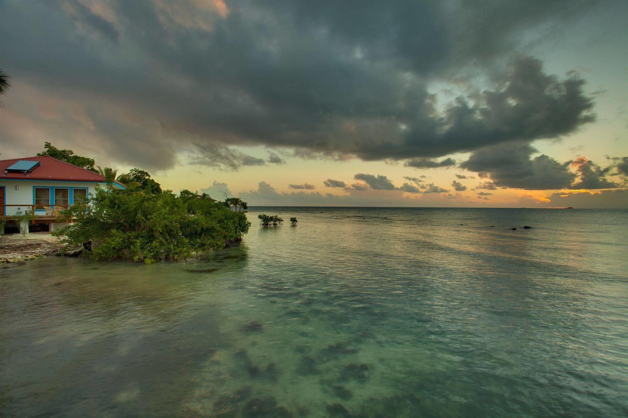 Hatchet Caye Island Resort (Adults Only) Placencia 外观 照片